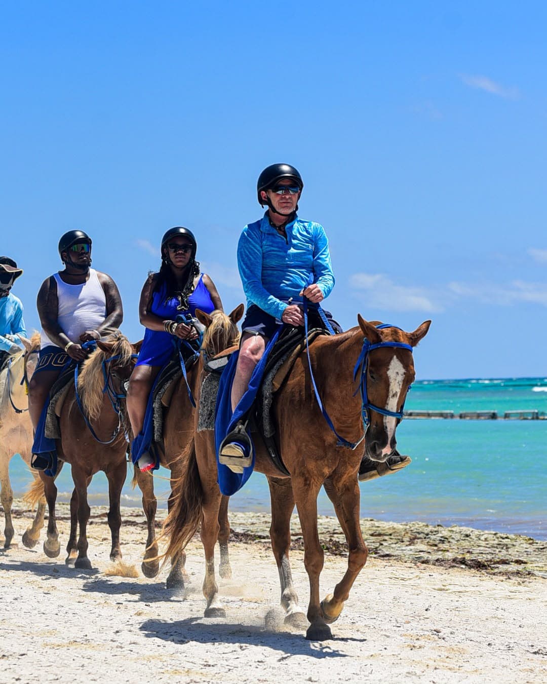 Swim Horse Punta Cana gallery 4