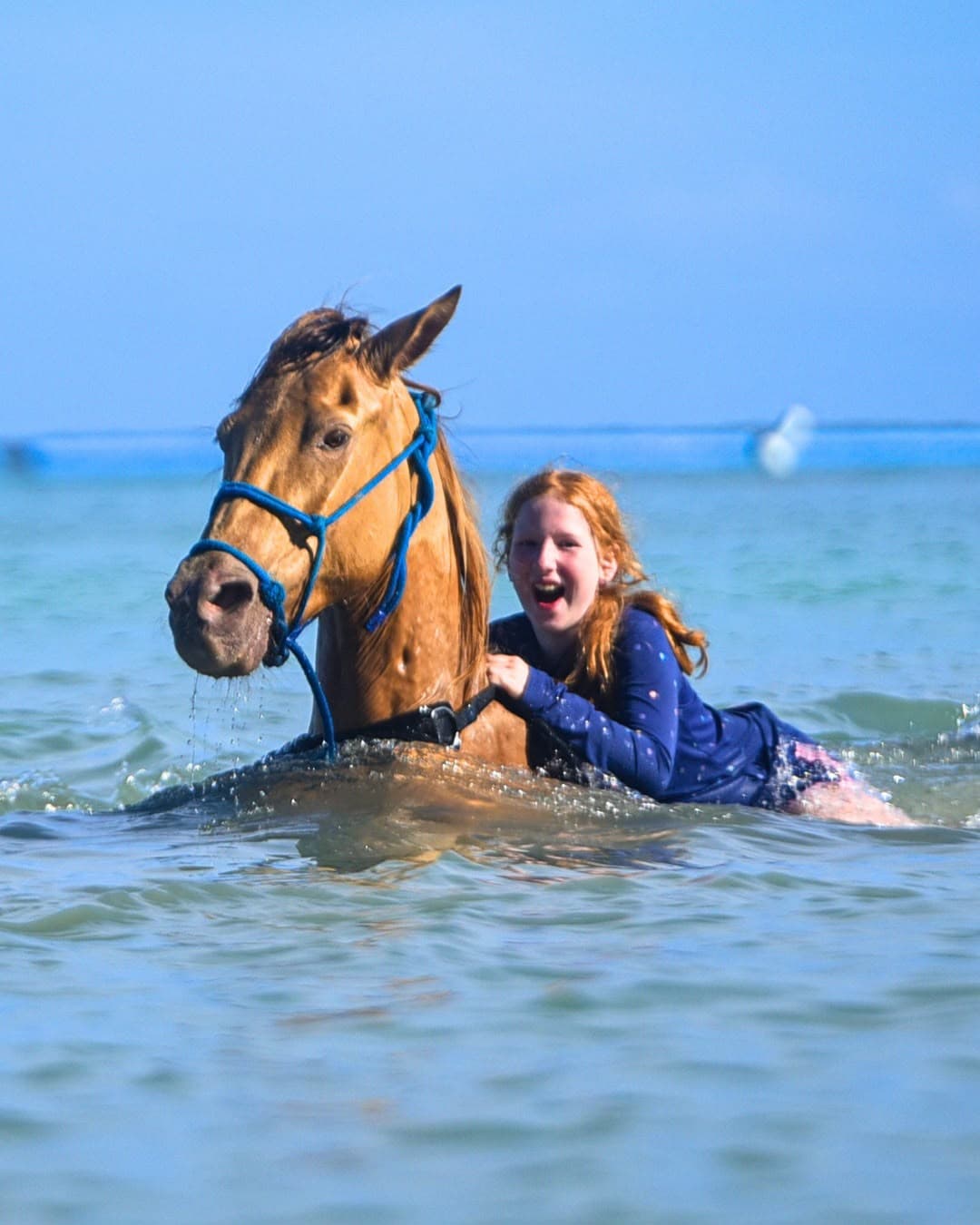 Swim Horse Punta Cana gallery 2