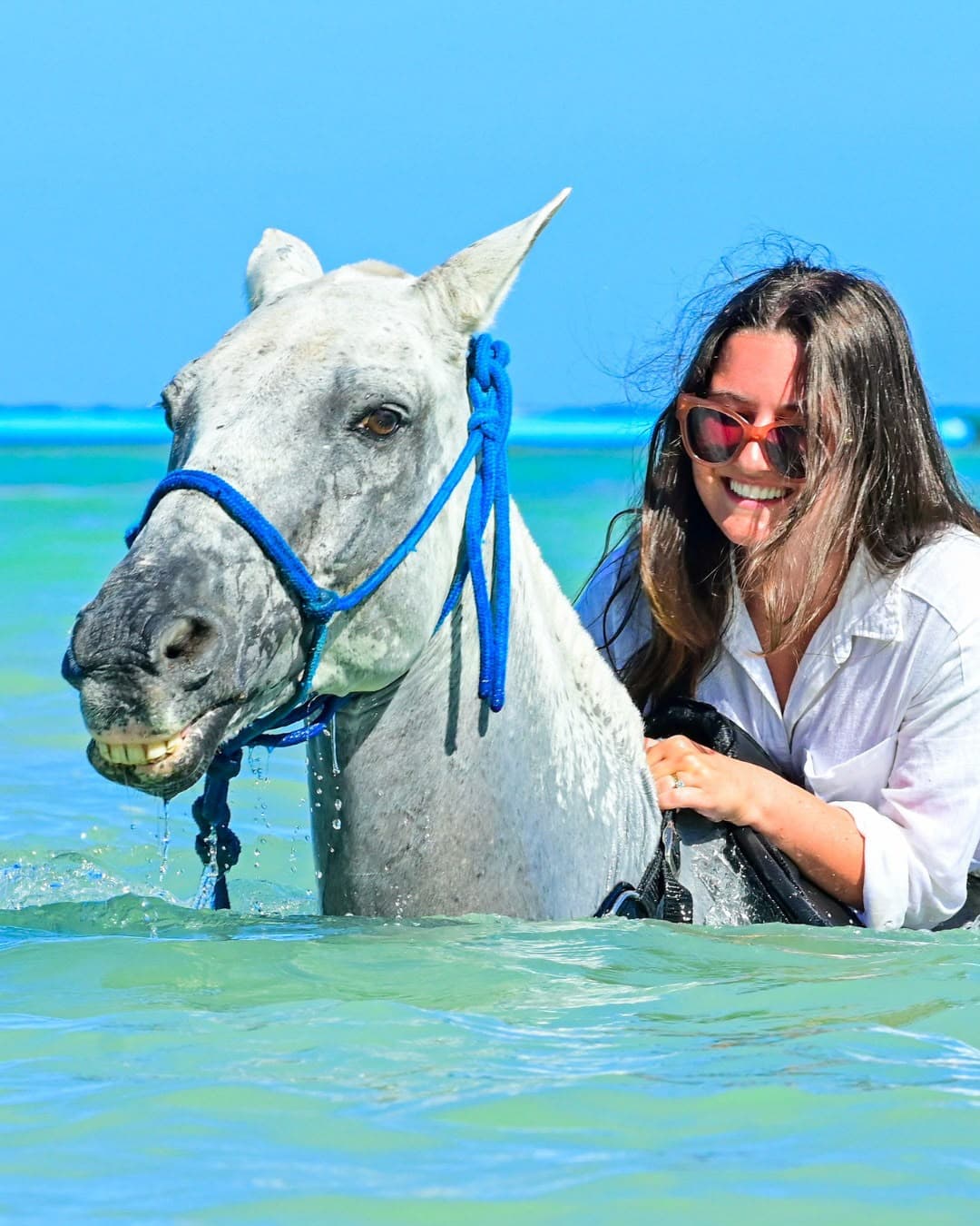 Swim Horse Punta Cana gallery 3