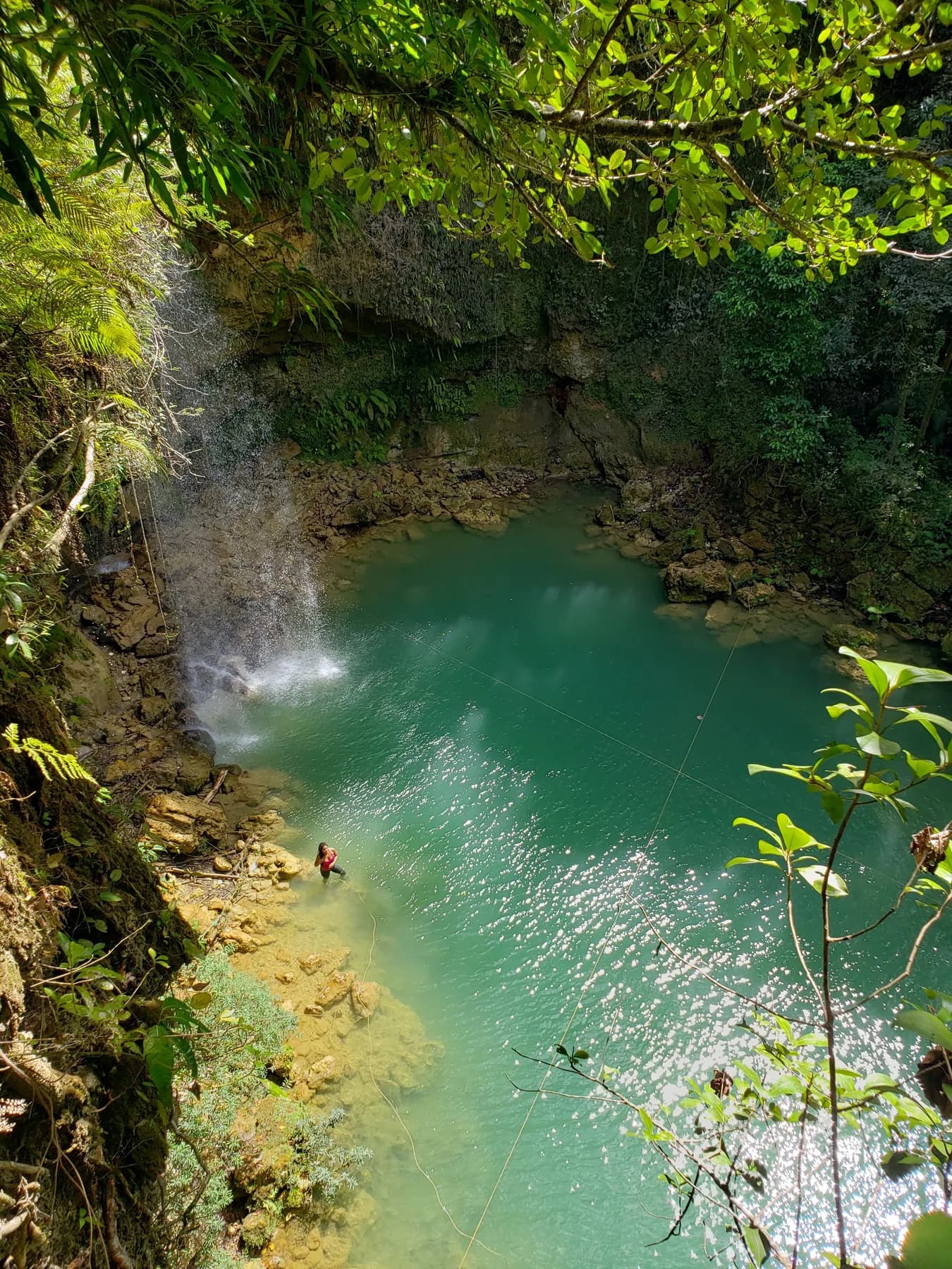 Tropical landscape in Samaná, Dominican Republic