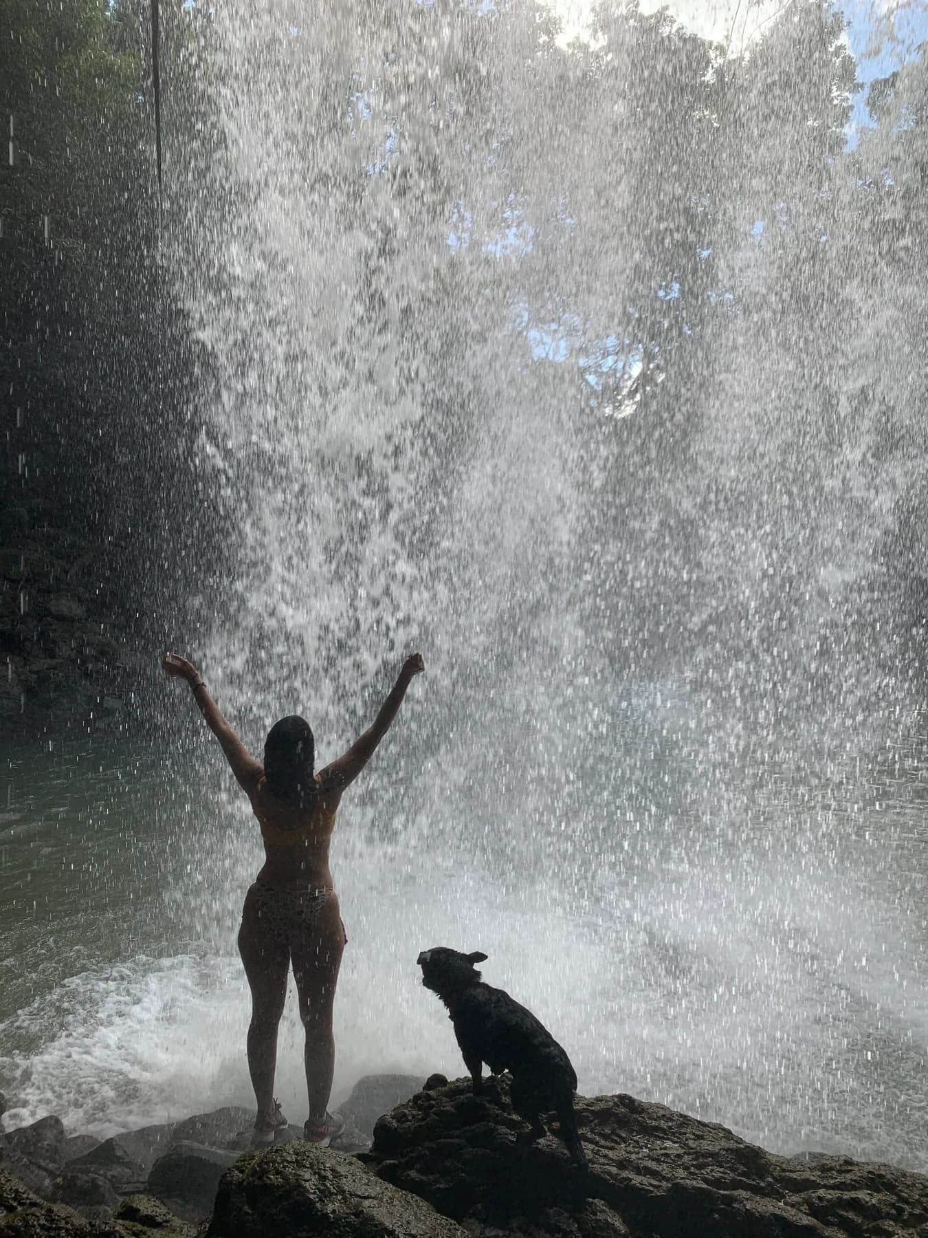 Entre Cascadas y Palmeras, multi-day adventure in the Dominican Republic
