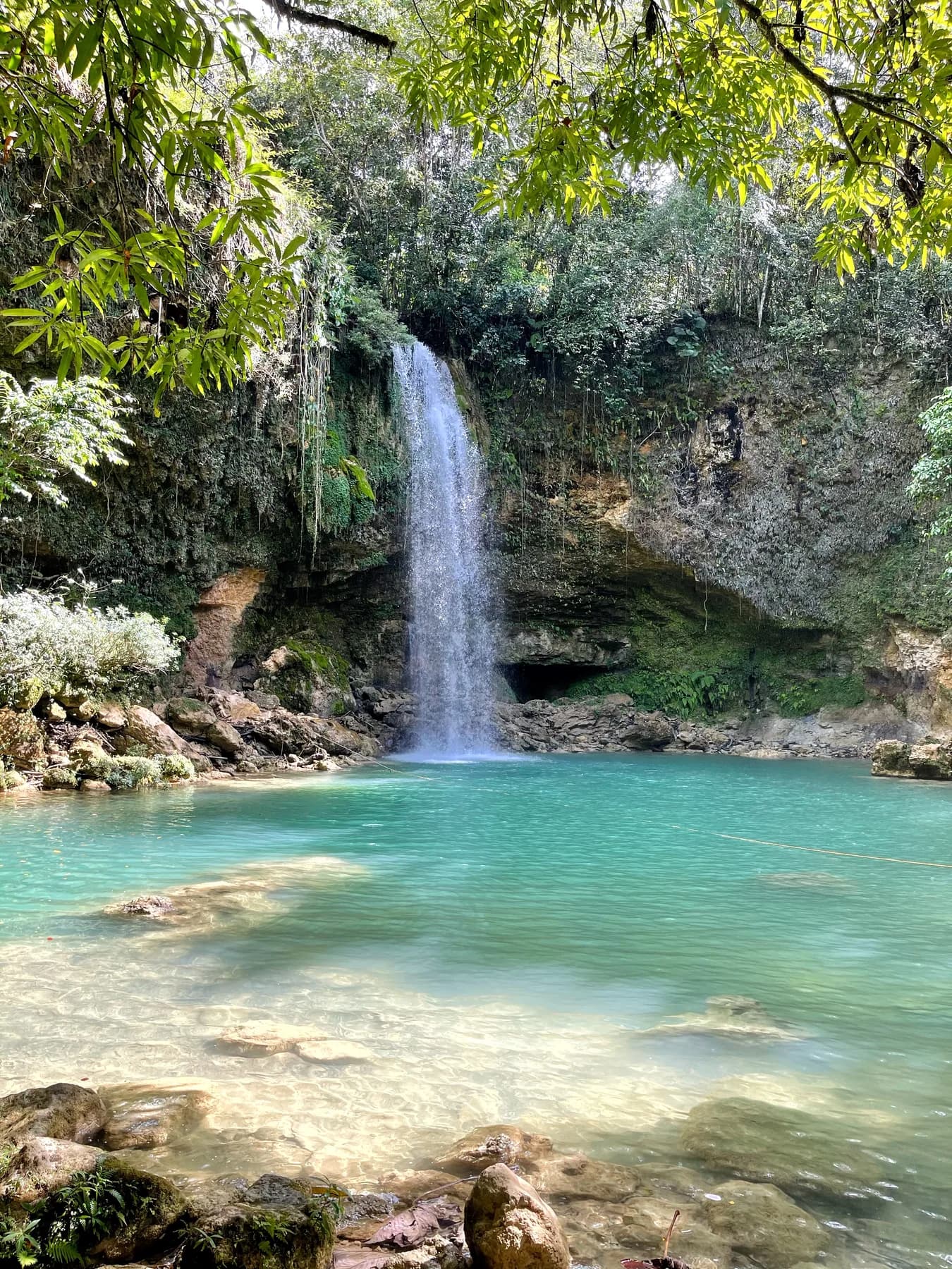 Entre Cascadas y Palmeras journey view 2